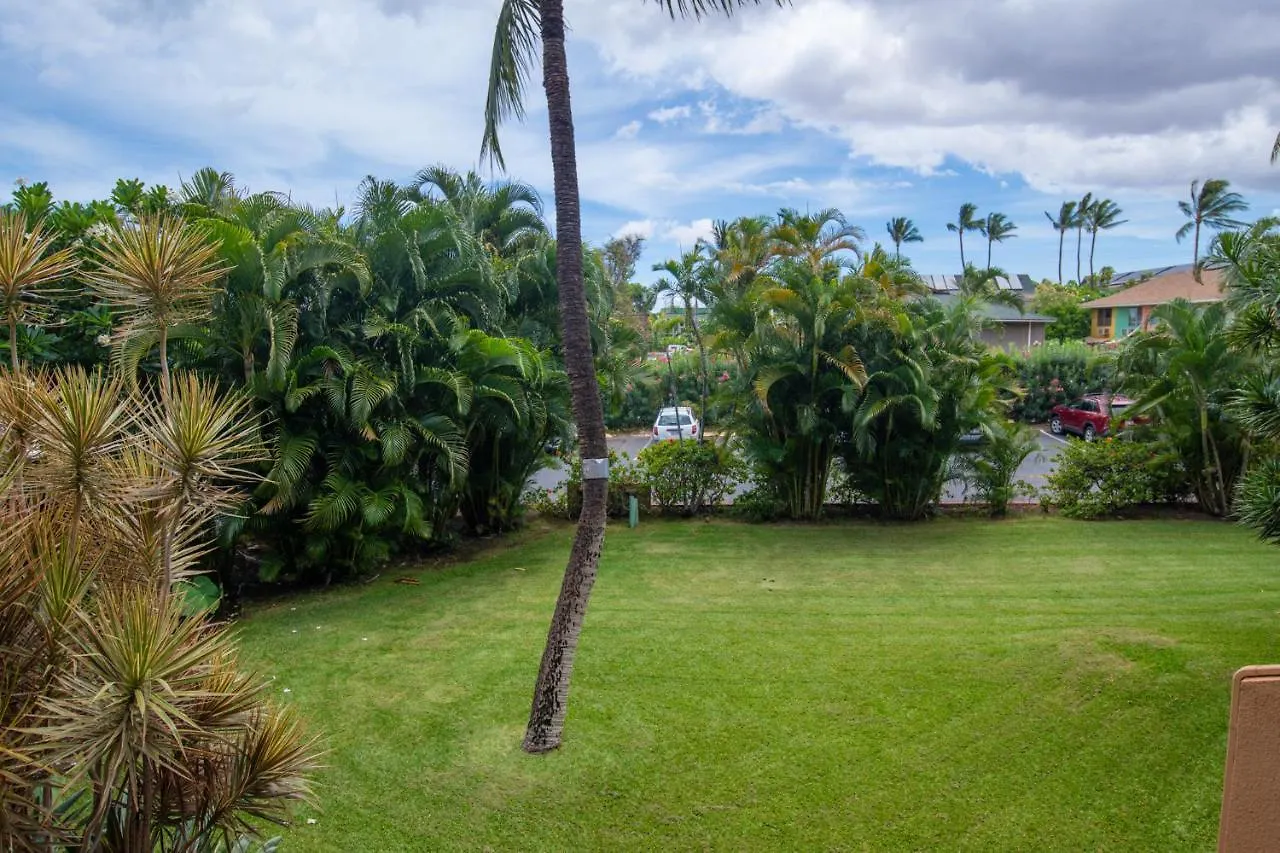 Contatti di Maui Vista 1219